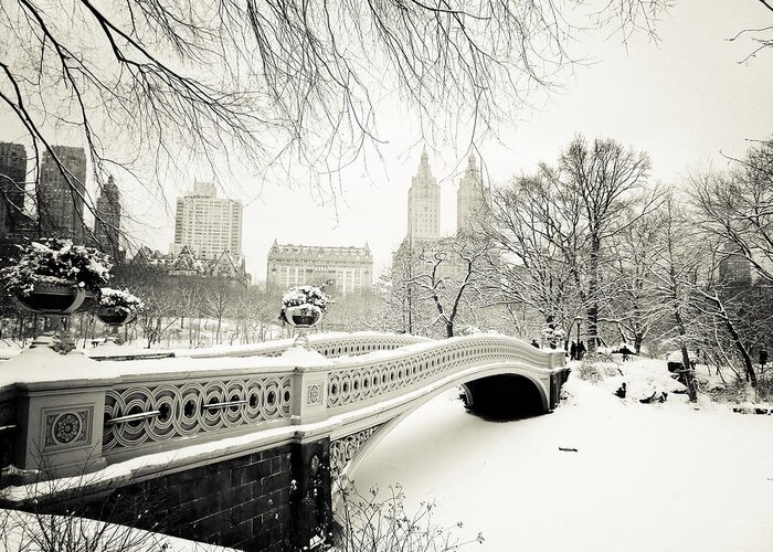 New York City Greeting Card featuring the photograph Winter's Touch - Bow Bridge - Central Park - New York City by Vivienne Gucwa