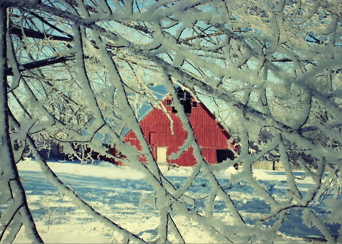 Barn Greeting Card featuring the photograph Our Frosty Barn by Julie Hamilton