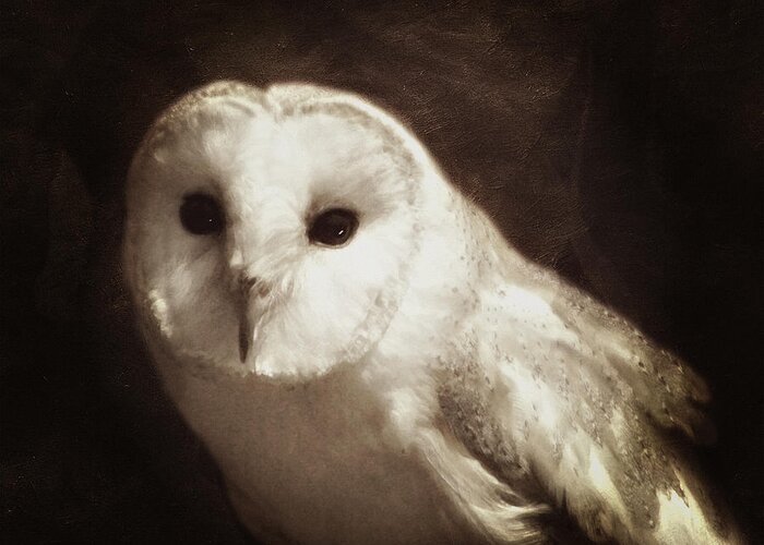 White Owl Greeting Card featuring the photograph Wisdom Of An Owl by Georgiana Romanovna