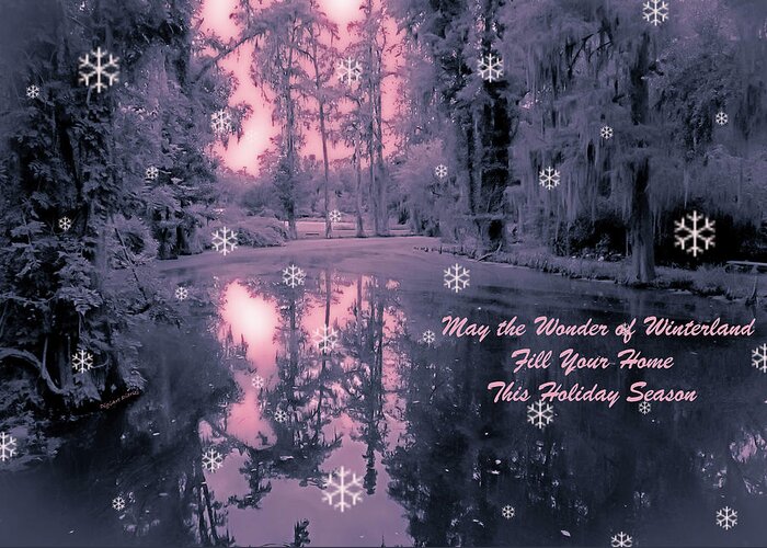 Christmas Greeting Card featuring the photograph Wonder of Winterland by DigiArt Diaries by Vicky B Fuller