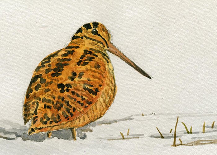 Woodcock Greeting Card featuring the painting Woodcock bird by Juan Bosco