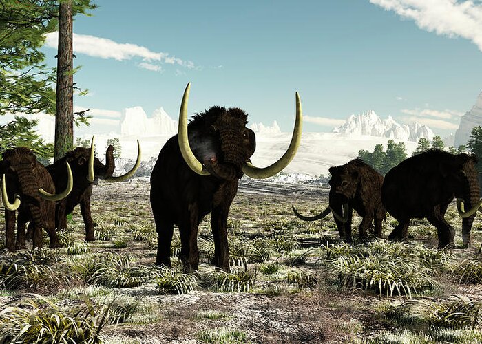 Prehistoric Era Greeting Card featuring the digital art Woolly Mammoths In Europe Or Almost by Arthur Dorety/stocktrek Images