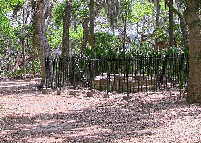Wormsloe Greeting Card featuring the photograph Wormsloe Cemetery Plot by D Wallace