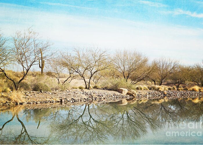 Desert Landscape Greeting Card featuring the photograph WUHUM Awaken by Kim Fearheiley
