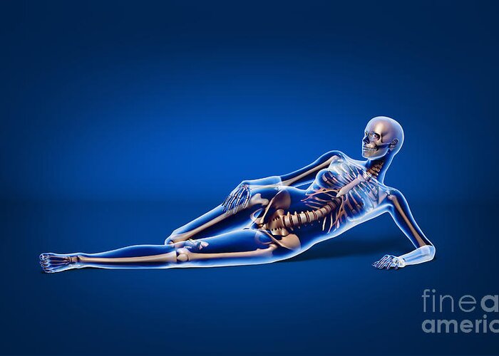Three Dimensional Greeting Card featuring the digital art X-ray View Of A Woman Laying by Leonello Calvetti