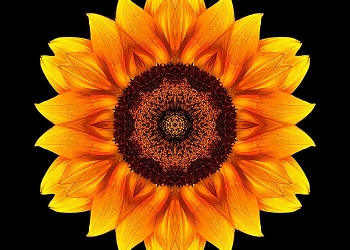 Flower Mandala Greeting Card featuring the photograph Yellow and Orange Sunflower VI Flower Mandala by David J Bookbinder