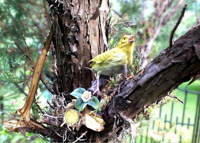 Woods Greeting Card featuring the photograph Yellow Bird by Peggy King