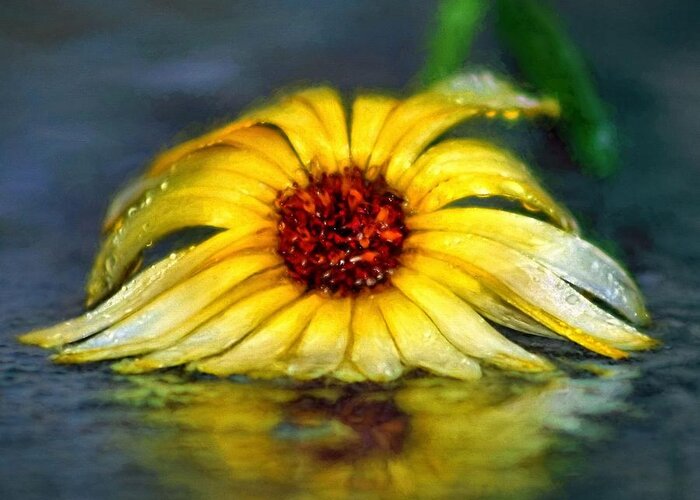 Flower In Rain Greeting Card featuring the painting Yellow Gerbera Daisy Floiwer In Rain by Tracie Schiebel