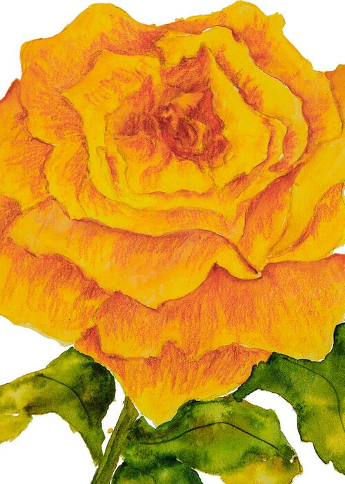 Yellow Rose Greeting Card featuring the painting Yellow Rose by Sally Quillin