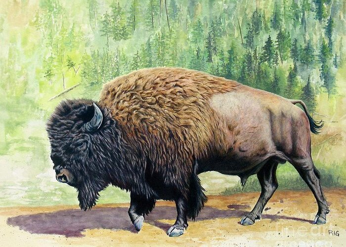 Bison Greeting Card featuring the drawing Yellowstone Bison by Rosellen Westerhoff