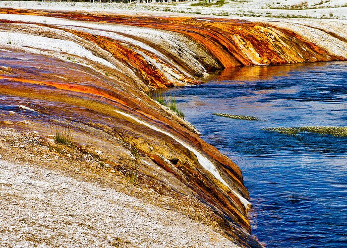 Yellowstone Greeting Card featuring the photograph Yellowstone Earthtones by Bill Gallagher