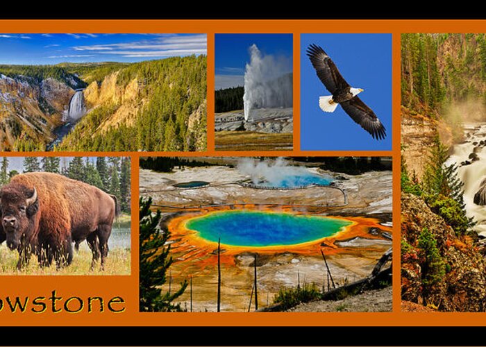 Yellowstone Greeting Card featuring the photograph Yellowstone National Park by Greg Norrell