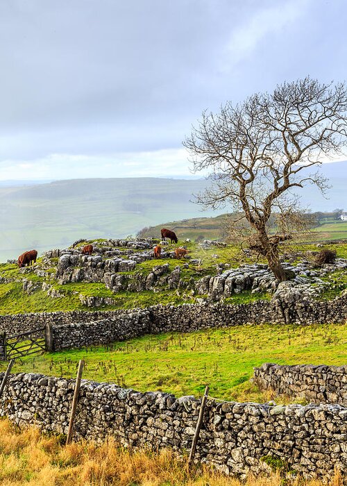 Yorkshire Greeting Card featuring the photograph Yorkshire Dales by Sue Leonard