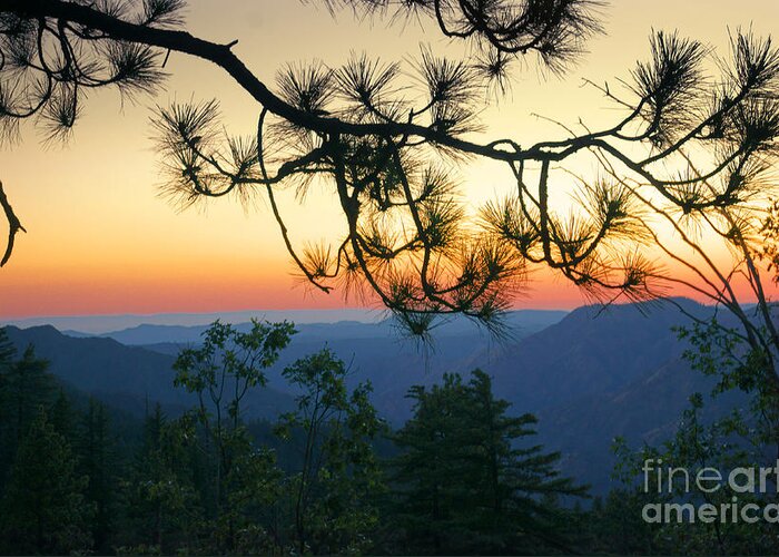 Yosemite Greeting Card featuring the photograph Yosemite Dusk by Ellen Cotton