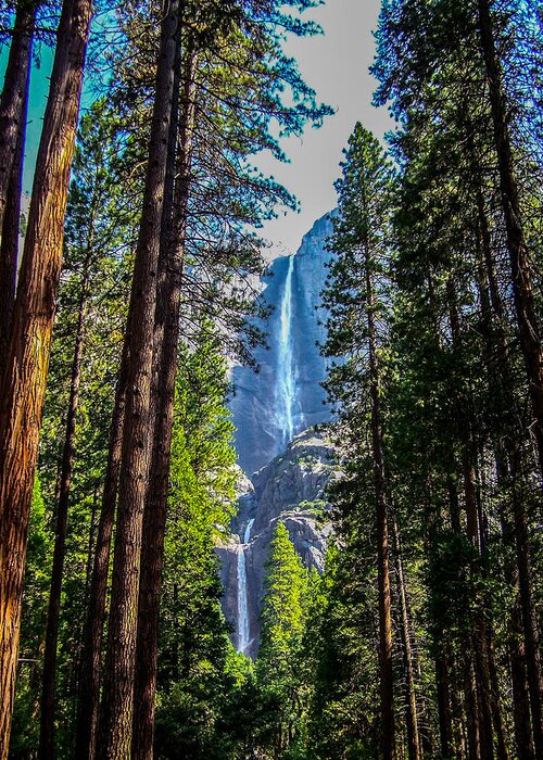 Yosemite Greeting Card featuring the photograph Yosemite Falls by Dany Lison