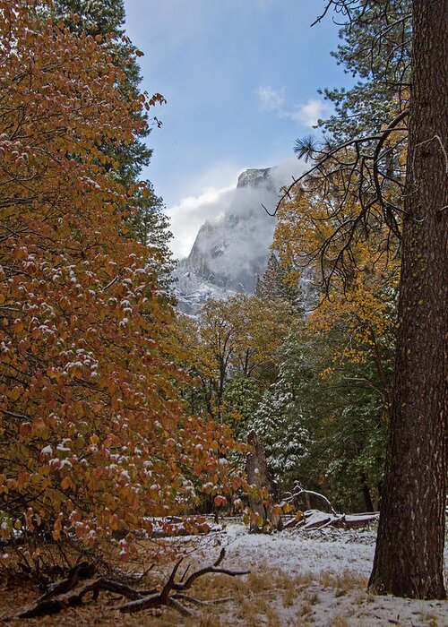 Yosemite Greeting Card featuring the photograph Yosemite in Fall by Natural Focal Point Photography