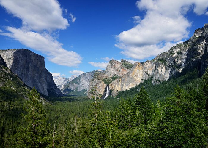 Yosemite National Park Greeting Card featuring the photograph Yosemite National Park by RicardMN Photography