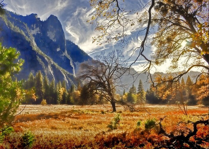  Greeting Card featuring the photograph Yosemite Valley Floor by Dana Sohr