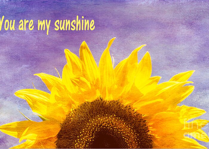 Sunflower Greeting Card featuring the photograph You Are My Sunshine by Arlene Carmel