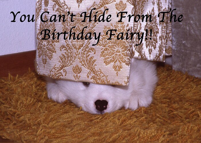Birthday Greeting Card featuring the photograph You Can't Hide Birthday Card by Ginny Barklow