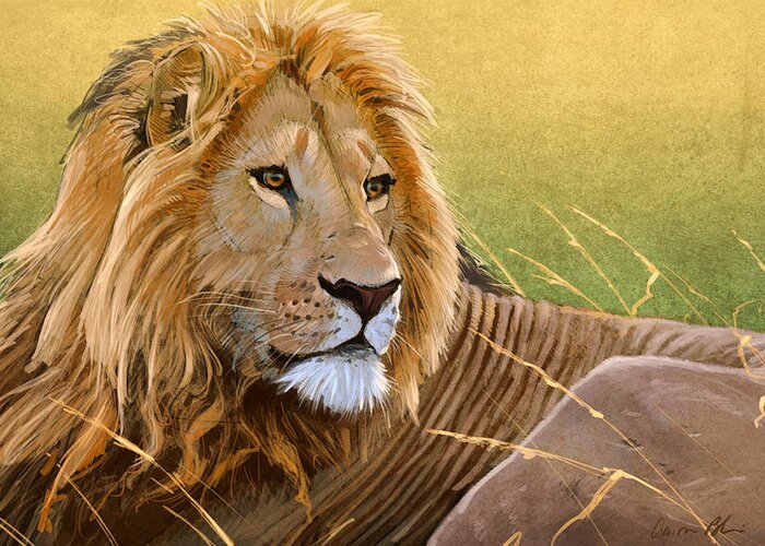 Lion Greeting Card featuring the digital art Young Lion by Aaron Blaise