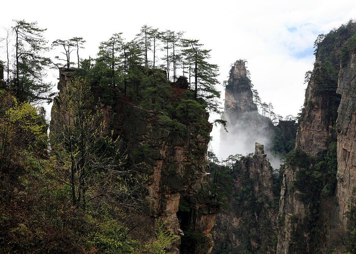 Scenery Greeting Card featuring the photograph Zhangjiajie National Forest Park in China by Yue Wang