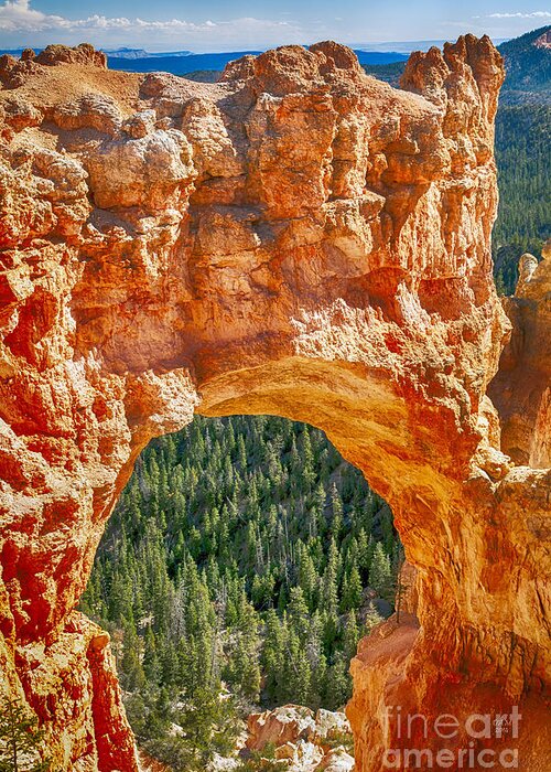 Arch Greeting Card featuring the photograph Natural Bridge by David Millenheft