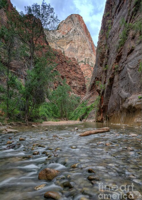 Virgin Greeting Card featuring the photograph Zion Narrows by Eddie Yerkish