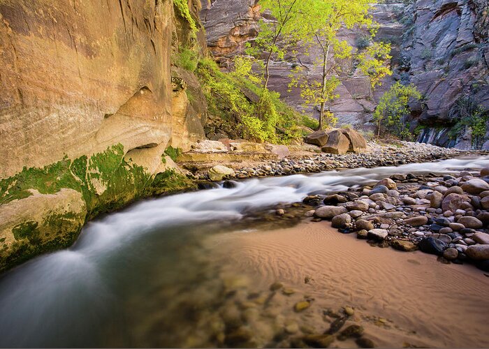 Scenics Greeting Card featuring the photograph Zion Narrows by Ritu Vincent