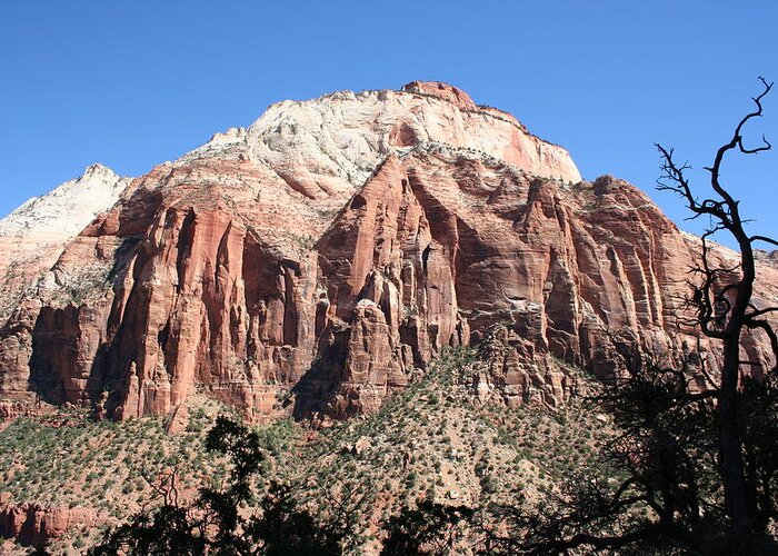 Mountains Greeting Card featuring the photograph Zion Park Mountainscape by Christiane Schulze Art And Photography
