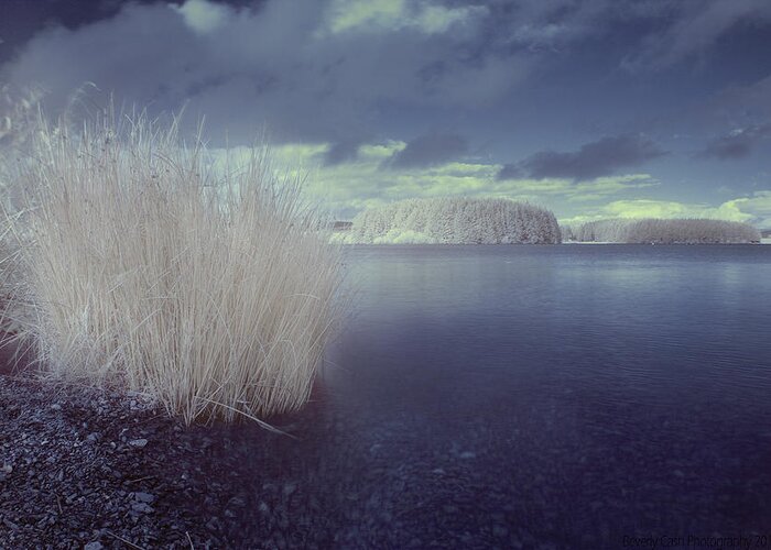 Mono Greeting Card featuring the photograph Infrared at Llyn Brenig by B Cash