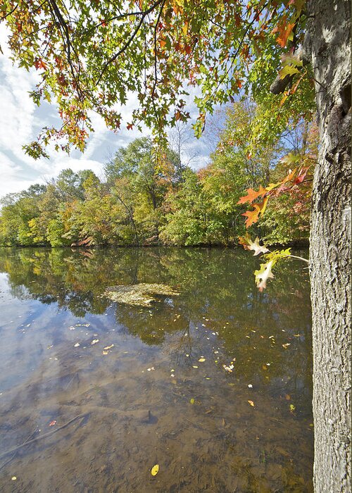 Autumn Greeting Card featuring the photograph Autumn Colors on the Canal #1 by David Letts
