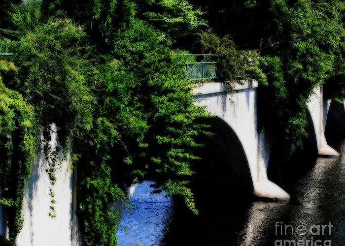 Bridge Greeting Card featuring the photograph Bridge Of Flowers #1 by Smilin Eyes Treasures