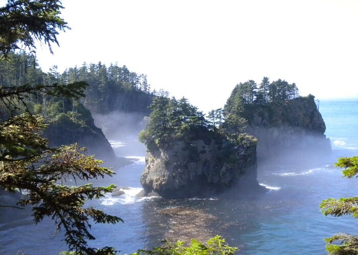  Greeting Card featuring the photograph Cape Flattery #1 by Wanda Jesfield