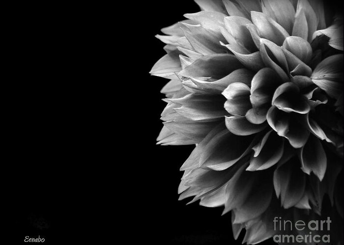Black-and-white Greeting Card featuring the photograph Chrysanthemum in Black and White #1 by Eena Bo