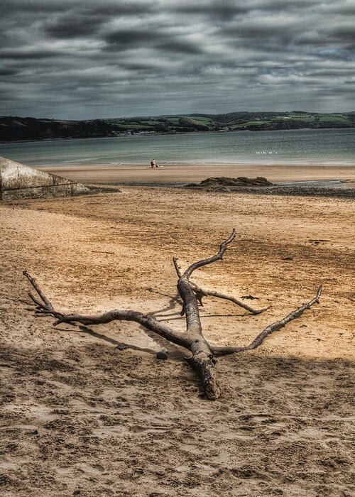 Driftwood Greeting Card featuring the photograph Driftwood 2 #1 by Steve Purnell