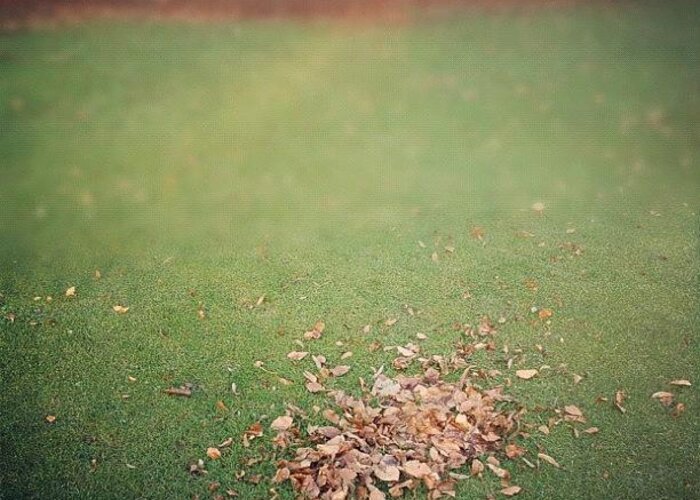 Leaves Greeting Card featuring the photograph Empty lawn with a little heap of leaves scraped together #1 by Matthias Hauser