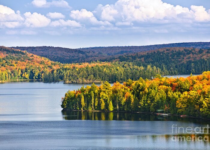 Forest Greeting Card featuring the photograph High view of fall forest and lake by Elena Elisseeva