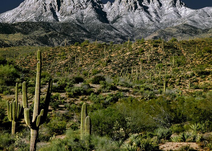 Mountains Greeting Card featuring the photograph Four Peaks #1 by Jim Painter