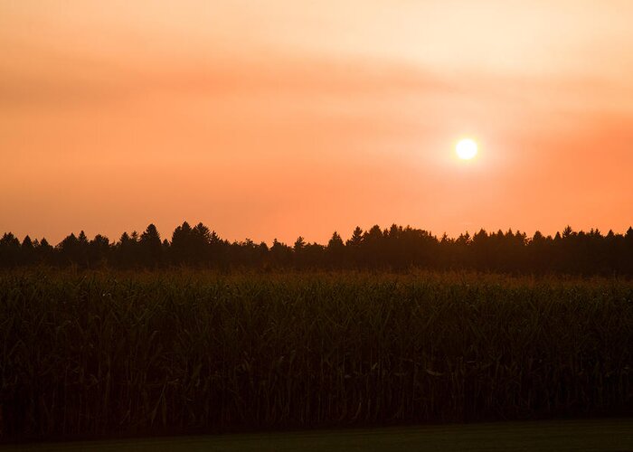 Sunset Greeting Card featuring the photograph Hazy summer sunset #1 by Ian Middleton