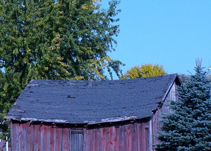 Red Barn Greeting Card featuring the photograph Just Past Prime #1 by Kristine Bogdanovich