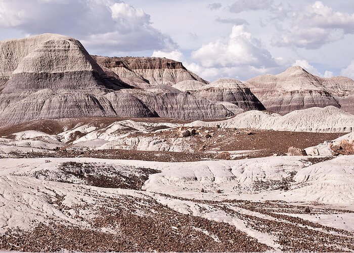 Painted Greeting Card featuring the photograph Petrified Forest National Park #2 by Melany Sarafis