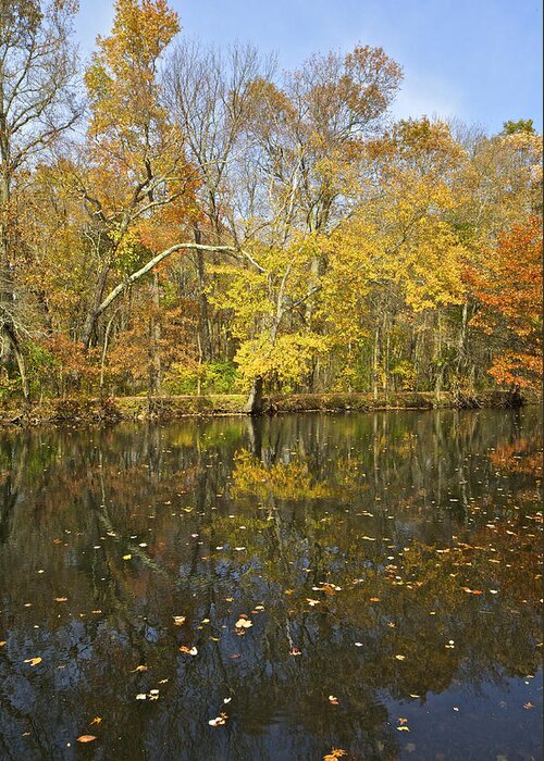 Blackwells Mills Greeting Card featuring the photograph Reflection of Autumn Colors on the Canal by David Letts