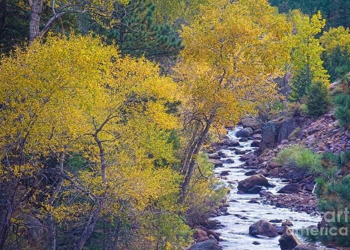 Autumn Greeting Card featuring the photograph St Vrain Canyon and River Autumn Season Boulder County Colorado #2 by James BO Insogna