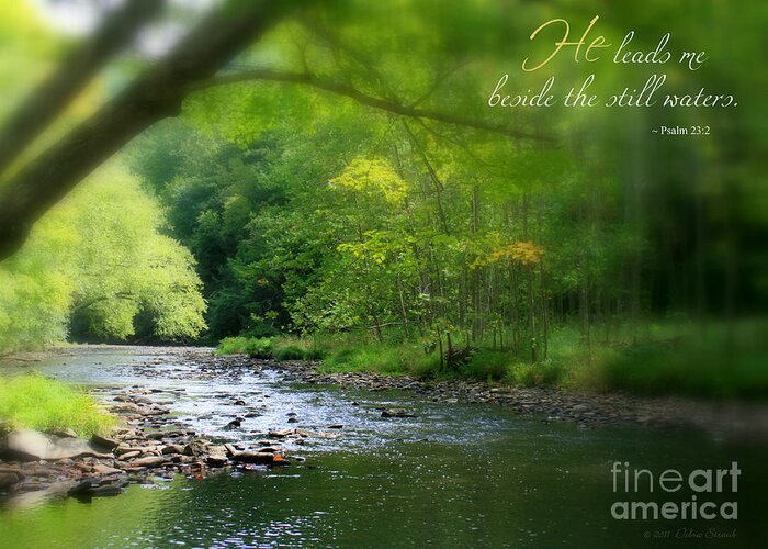 Creek Greeting Card featuring the photograph Still Waters #1 by Debra Straub