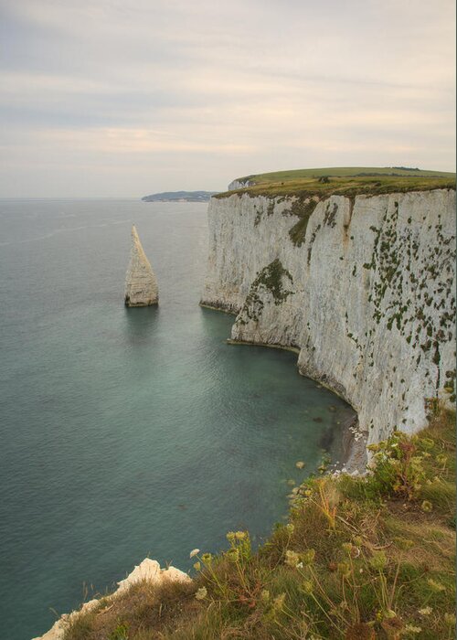 Old Greeting Card featuring the photograph The Pinnacles at Old Harry Rocks #1 by Ian Middleton