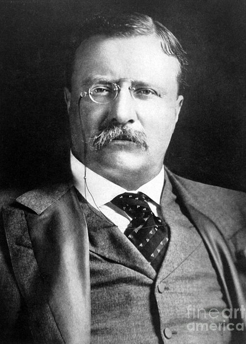 History Greeting Card featuring the photograph Theodore Roosevelt, 26th American #1 by Science Source