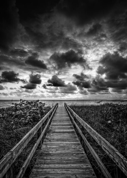 Boardwalk Greeting Card featuring the photograph Walkway To Tomorrow #1 by Nick Shirghio