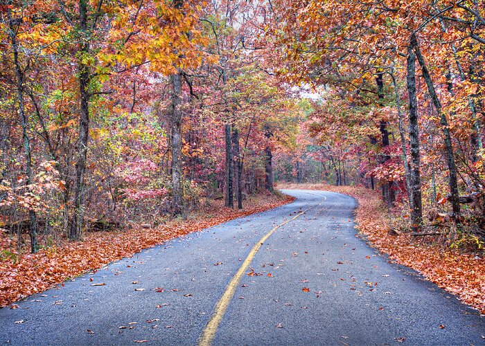 Arkansas Greeting Card featuring the photograph 1010-4486 Petit Jean Autumn Highway by Randy Forrester