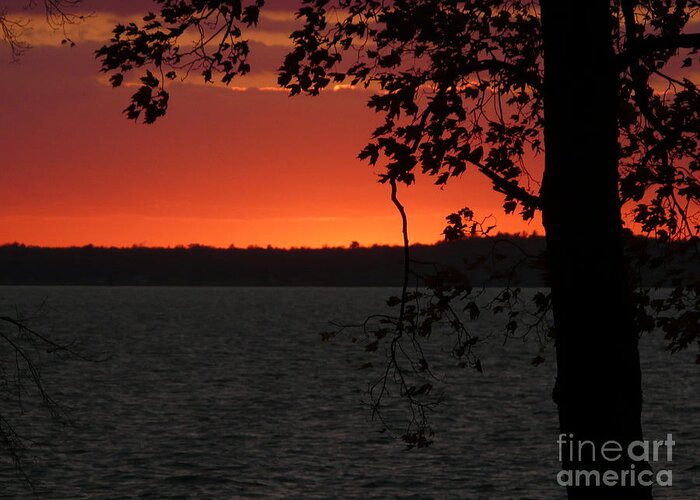 Sunset Greeting Card featuring the photograph Sunset #18 by Judi Deziel